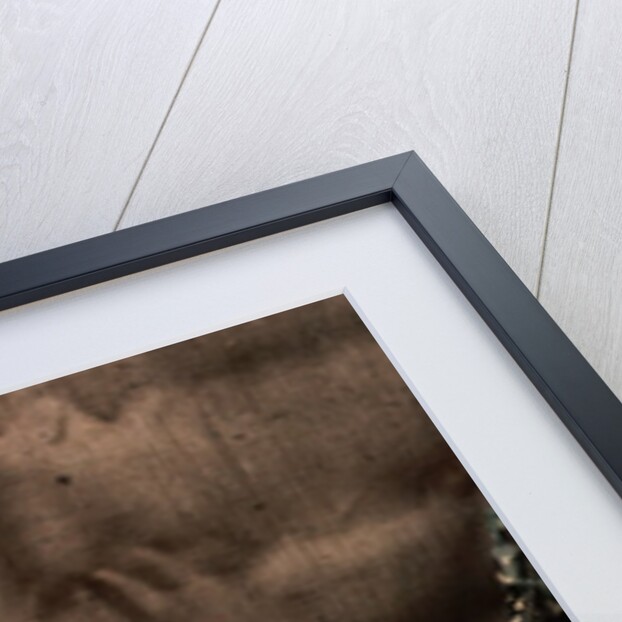 Labrador Retriever Puppy by Anonymous