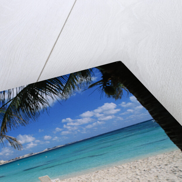 Lounge Chairs on Beach at Club Med by Anonymous