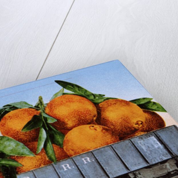 A Carload of Navel Oranges Postcard by Anonymous