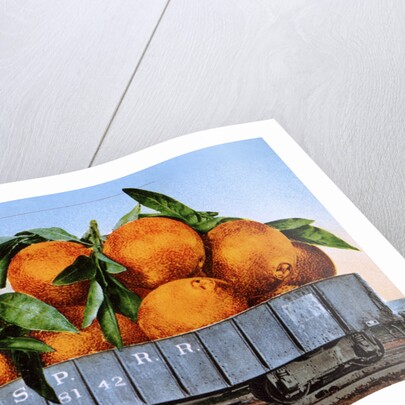 A Carload of Navel Oranges Postcard by Anonymous