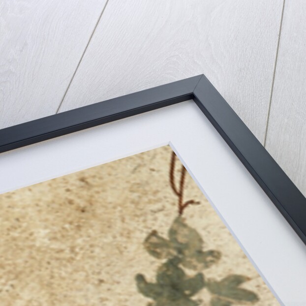 Detail of Roman Fresco Series at Oplonti Villa by Anonymous