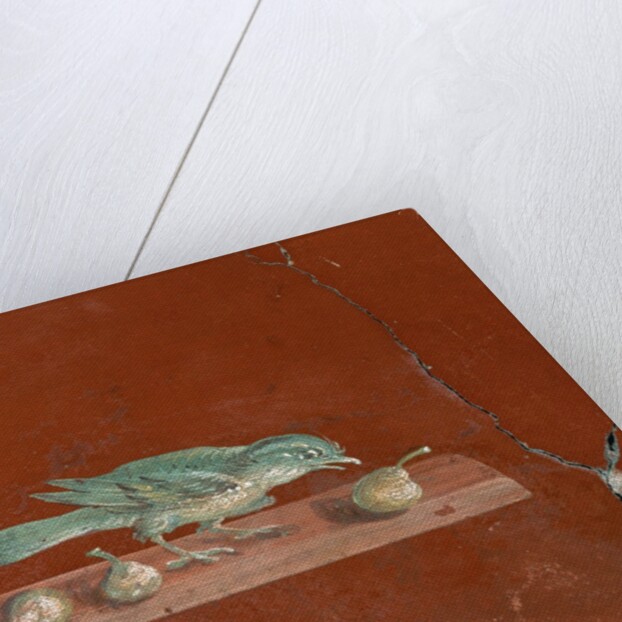 Detail of Roman Fresco Series at Oplonti Villa by Anonymous