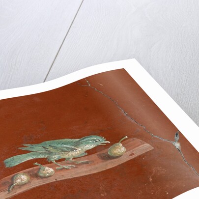 Detail of Roman Fresco Series at Oplonti Villa by Anonymous