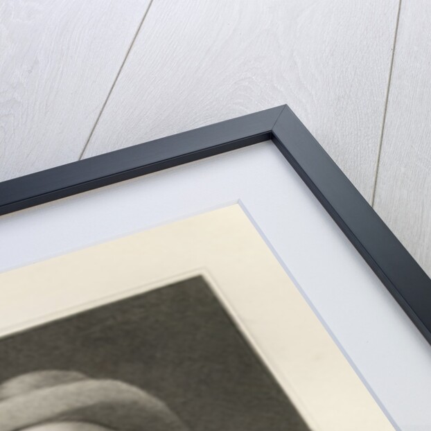 Engraved Portrait of Jeremy Bentham by Anonymous