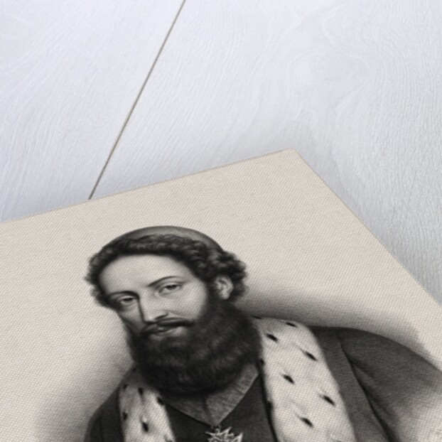 Botanist Joseph Pitton de Tournefort by Anonymous
