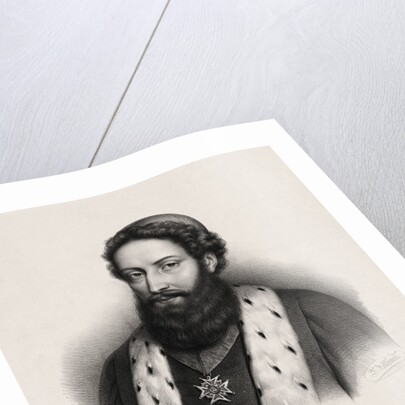 Botanist Joseph Pitton de Tournefort by Anonymous