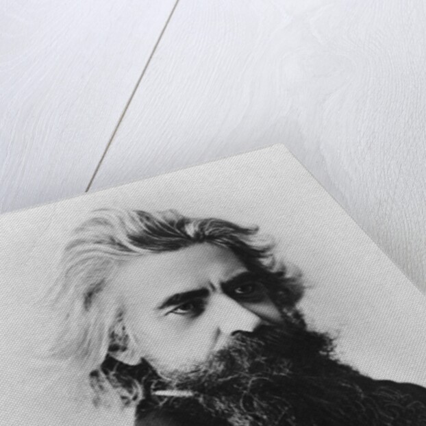 Vladimir Soloviev by Anonymous