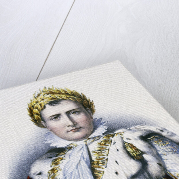 Portrait of Napoleon I by Anonymous