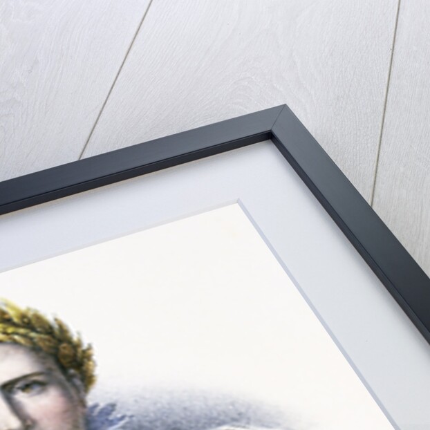 Portrait of Napoleon I by Anonymous