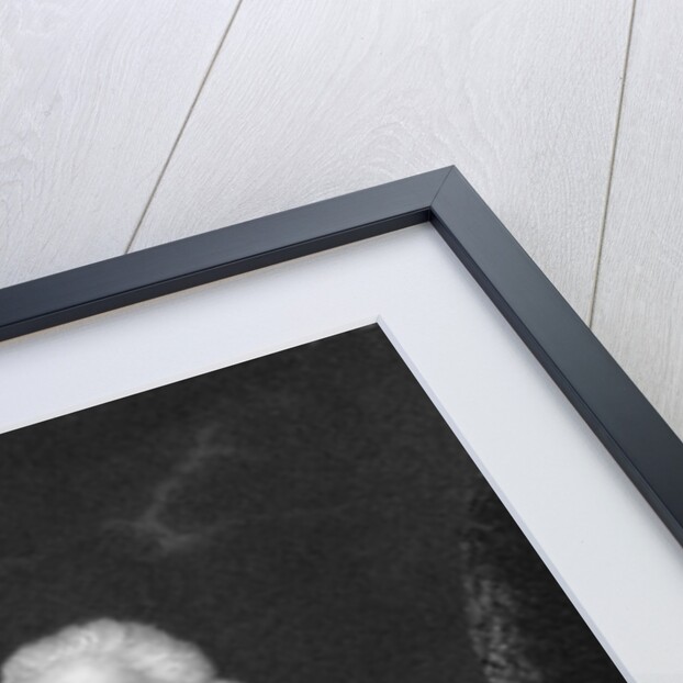 Portrait of Samuel, First Viscount Hood by H. Robinson