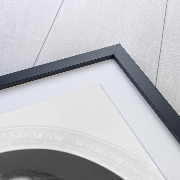 Captain Hobart Pasha by Anonymous