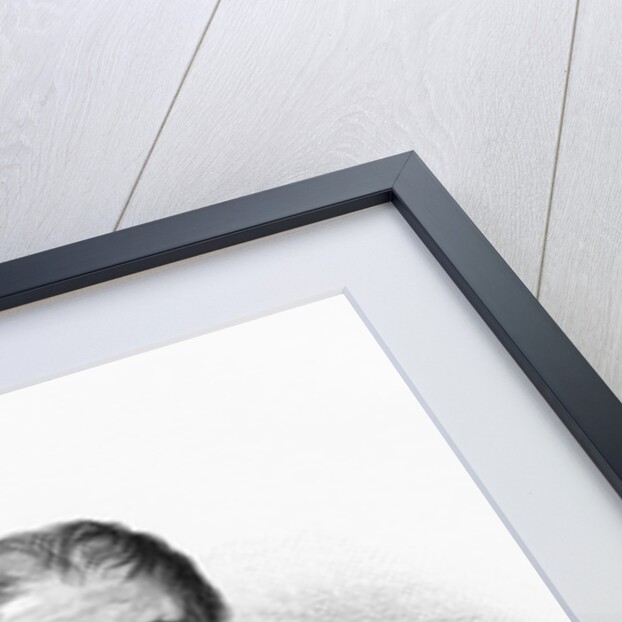 Andre Marie Jean Jacques Dupin Engraving by Louis Marckl and Tony Goutiere by Anonymous