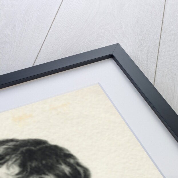 Lenau Illustration by Anonymous