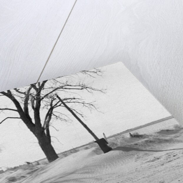 Kansas Dust Bowl by Anonymous