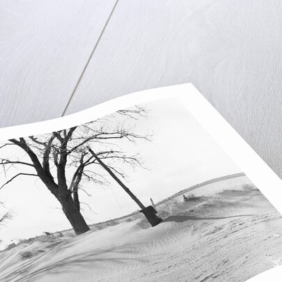 Kansas Dust Bowl by Anonymous