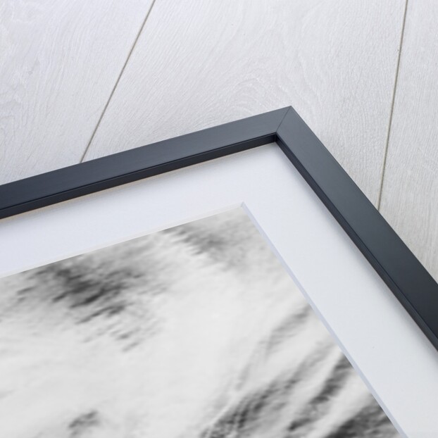 American B-25 Bombing Japanese Freighter by Anonymous