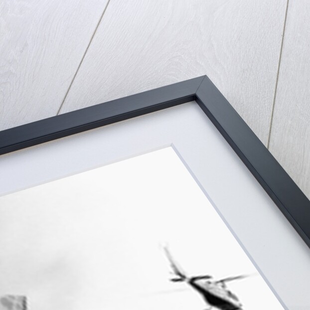 LUG Flex-wing Light Utility Glider Carrying Field Gun by Anonymous