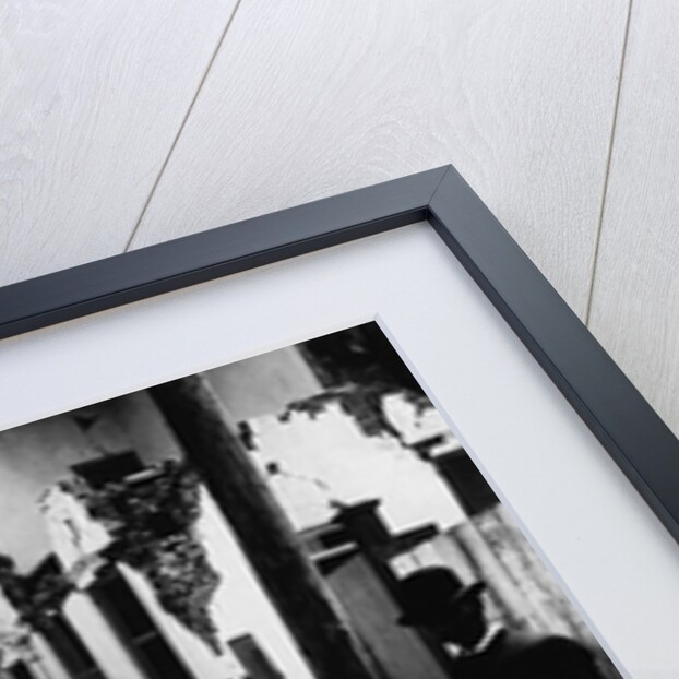 Damage Caused by the 1886 Earthquake by Anonymous