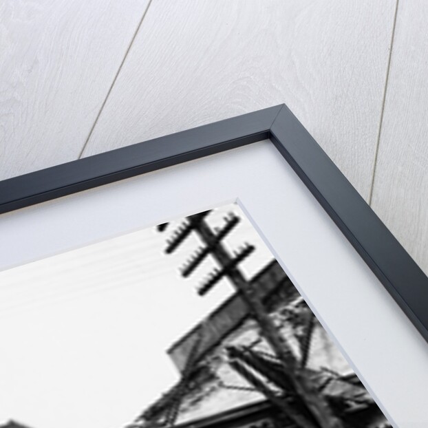 Building Destroyed by 1886 Earthquake by Anonymous