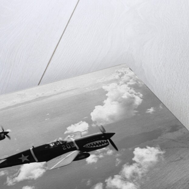 Curtiss P-40E "Warhawks" in Flight by Anonymous