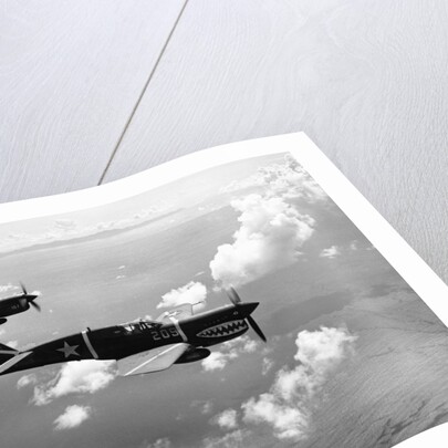 Curtiss P-40E "Warhawks" in Flight by Anonymous