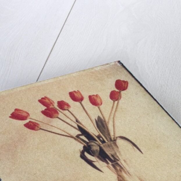 Vase of Tulips on a Radiator by Anonymous