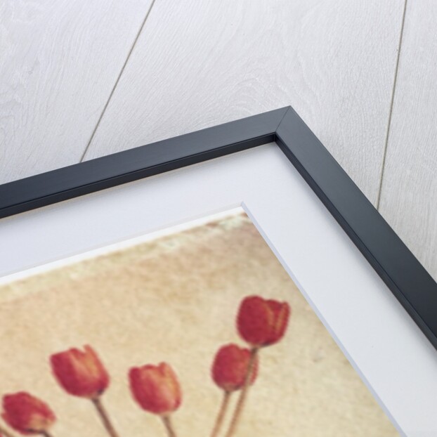 Vase of Tulips on a Radiator by Anonymous