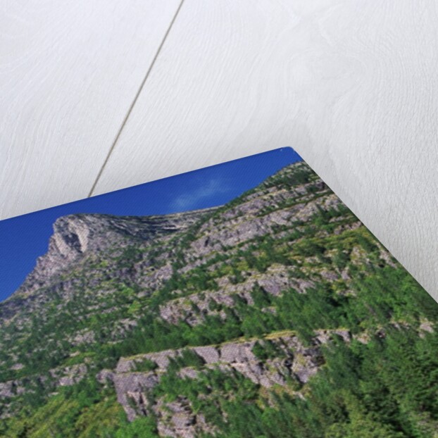 River Flowing Below Mountains by Anonymous