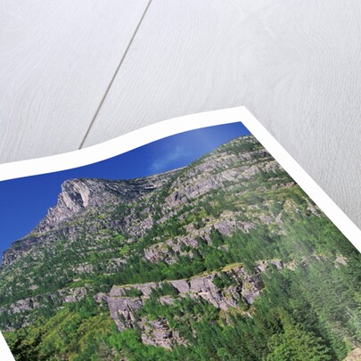 River Flowing Below Mountains by Anonymous