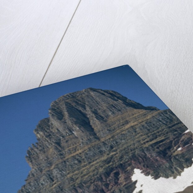 Reynolds Mountain in Summer by Anonymous