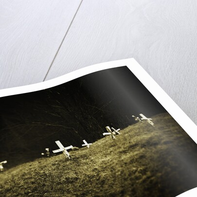 Crosses in a Cemetery by Anonymous