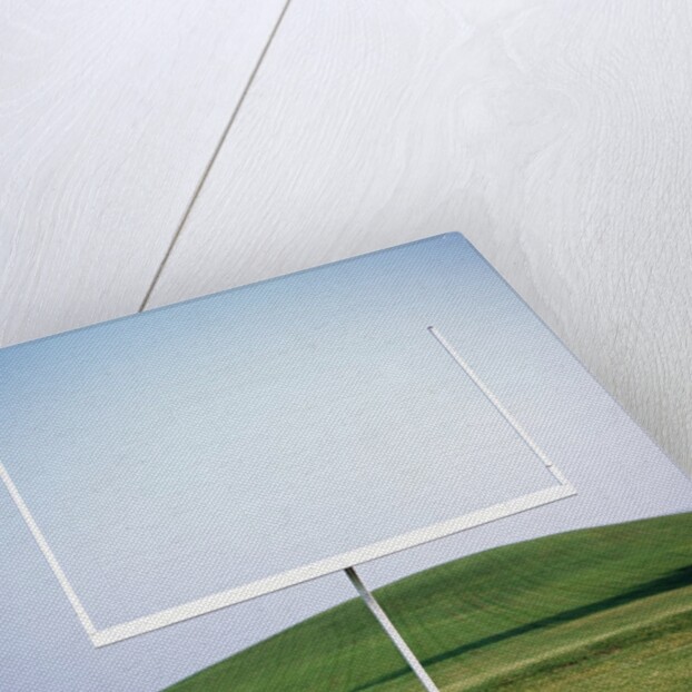 Goal Post in Field by Anonymous