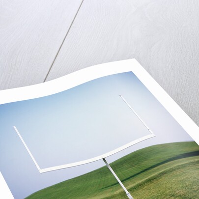 Goal Post in Field by Anonymous