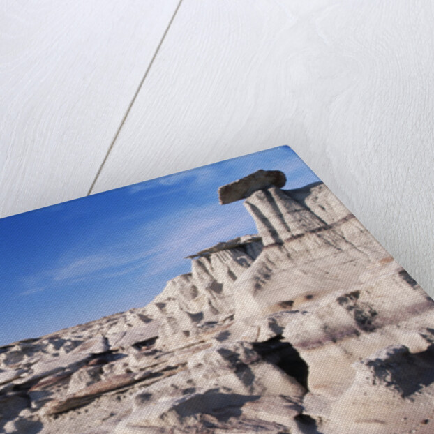 Desolate Canyon of Bisti Wilderness Area by Anonymous
