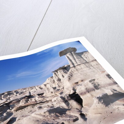 Desolate Canyon of Bisti Wilderness Area by Anonymous