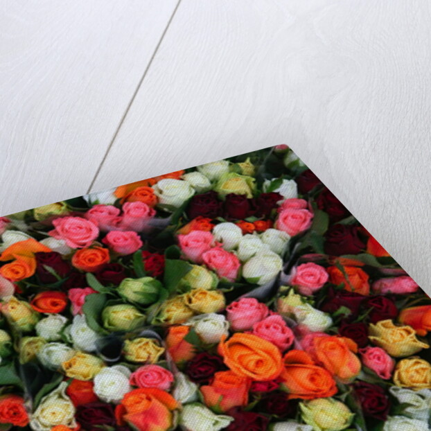 Roses at Albert Kuyp Market by Anonymous