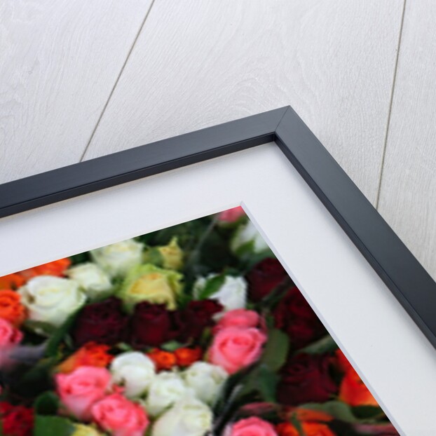 Roses at Albert Kuyp Market by Anonymous