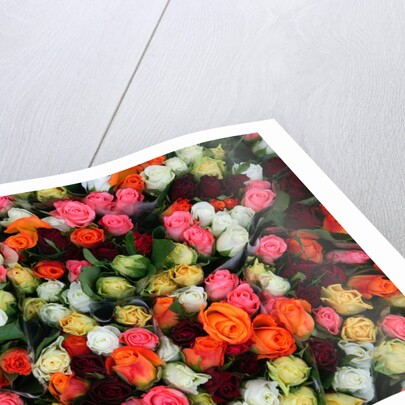 Roses at Albert Kuyp Market by Anonymous