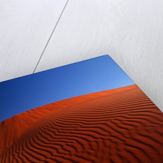 Full Moon over Red Dunes by Anonymous
