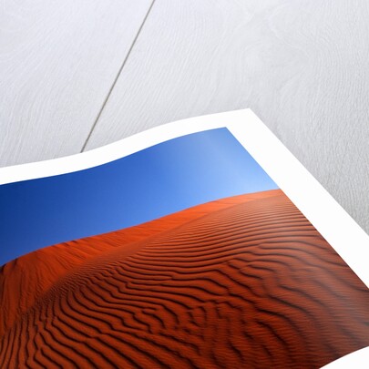 Full Moon over Red Dunes by Anonymous