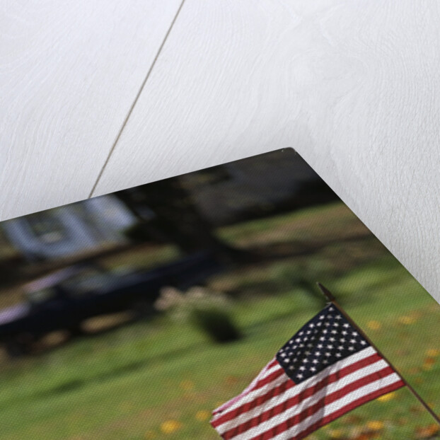 Small American Flag Posted in Yard by Anonymous
