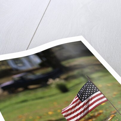 Small American Flag Posted in Yard by Anonymous