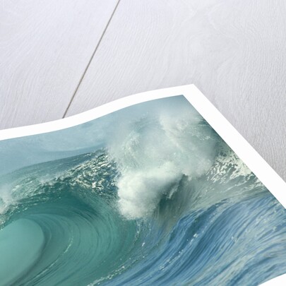 Shorebreak Waves in Waimea Bay by Anonymous