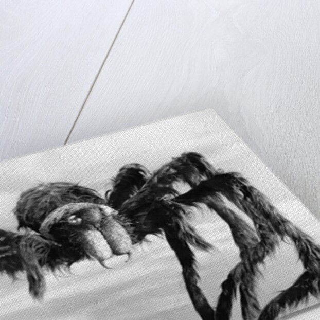 Giant Replica from the Movie Tarantula by Anonymous