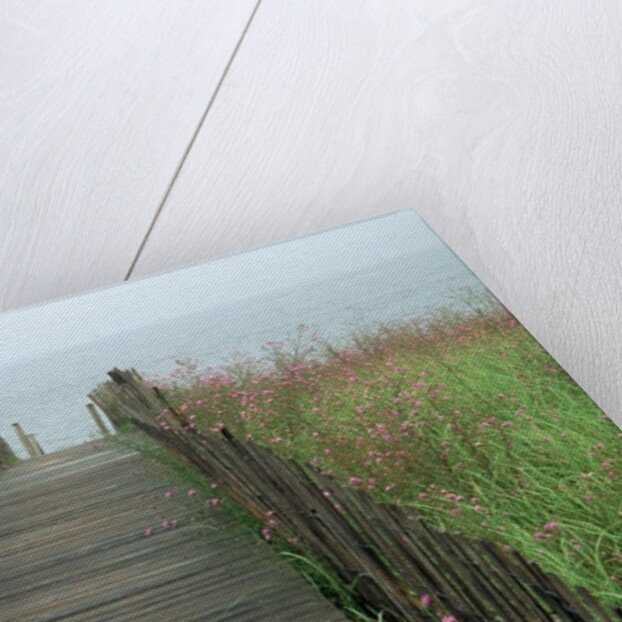 Wooden Walkway to Beach by Anonymous