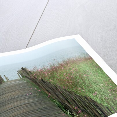 Wooden Walkway to Beach by Anonymous