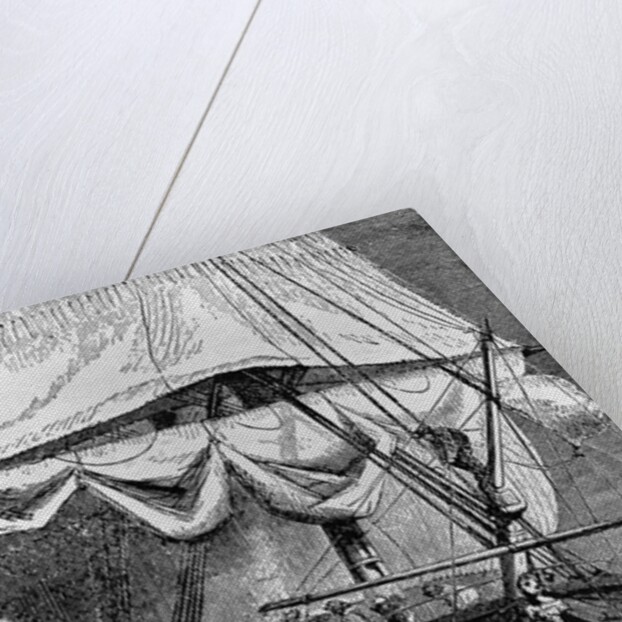 Crew of Charles Darwin's Ship Shark Fishing by Anonymous