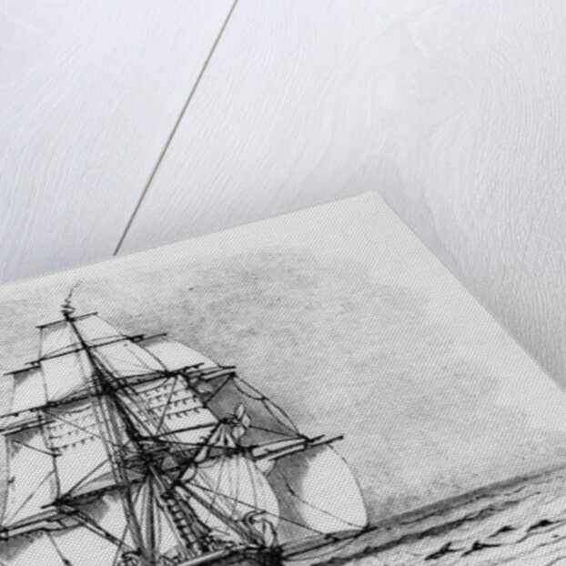 The Darwin Crew Homeward Bound Aboard the HMS Beagle by Anonymous