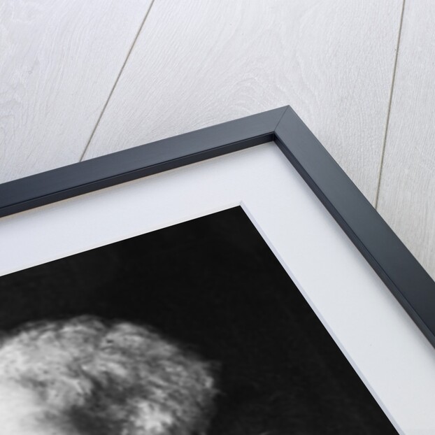 Portrait of John Cabot by Anonymous