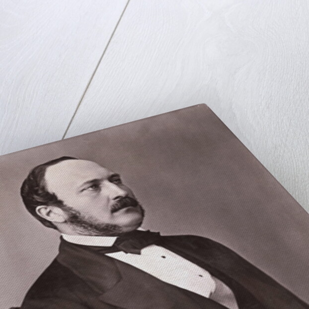 Portrait of Prince Albert Reclining by Anonymous